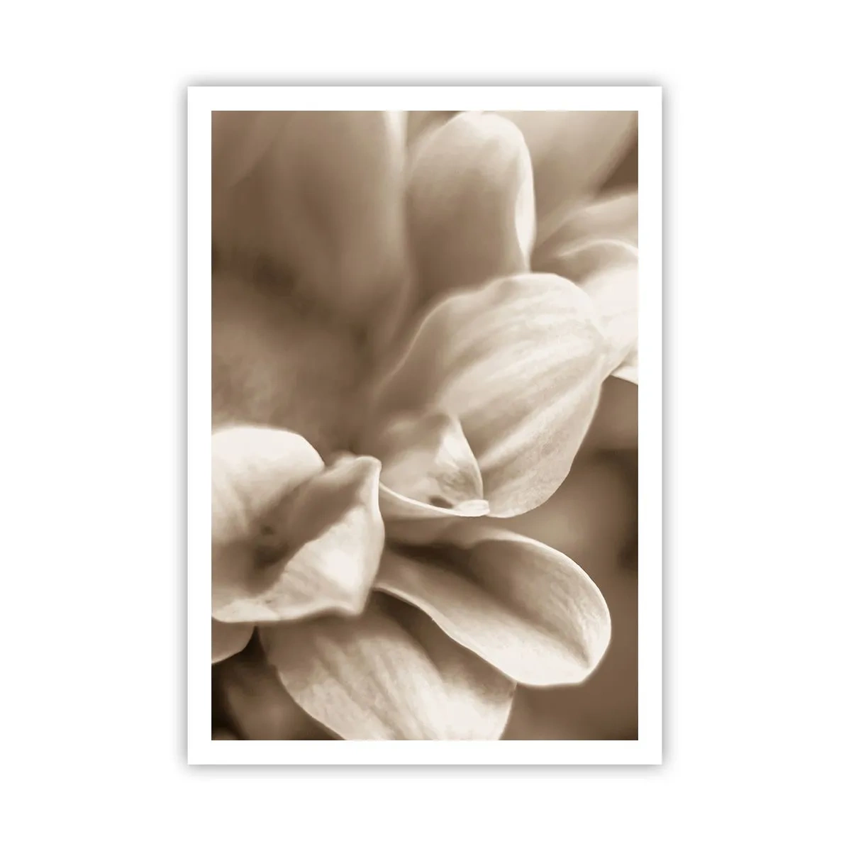 Poszter - Gyengéd, mint egy mosoly - 70x100 cm