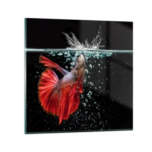 Üveg kép - Három kívánságod van - 70x70 cm