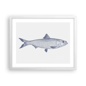 Poszter fekete keretben - Üdvözlet az északi tengerektől - 50x40 cm