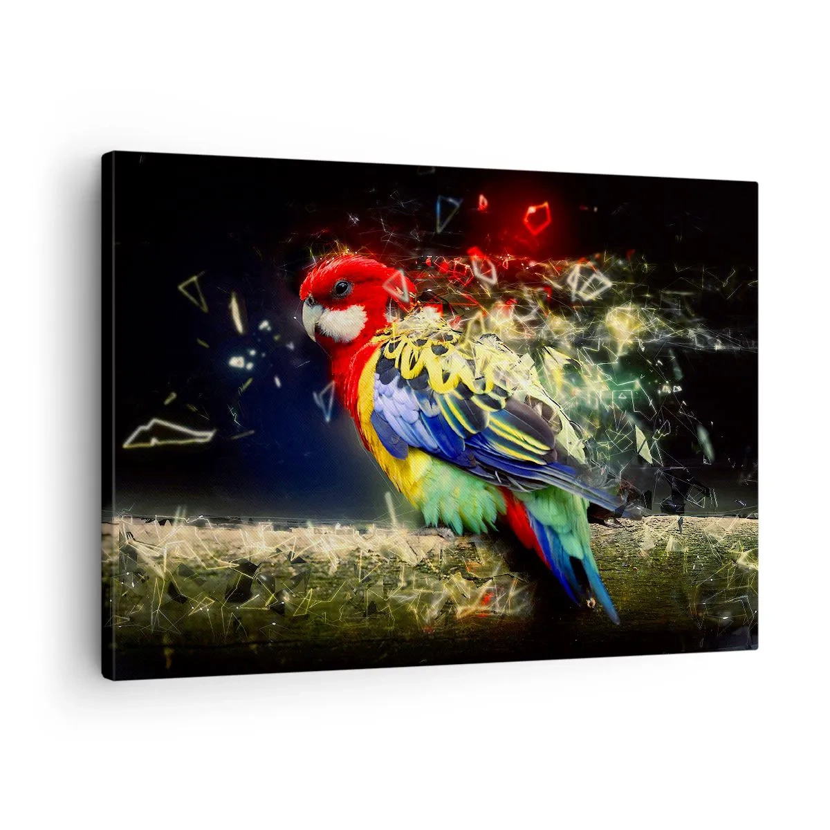 Vászonkép - Élénk színekben pompázó papagáj fényhatások hátterében. - 70x50cm - A ragyogás hírnöke - Modern fali dekoráció nappalihoz és hálószobához ARTTOR