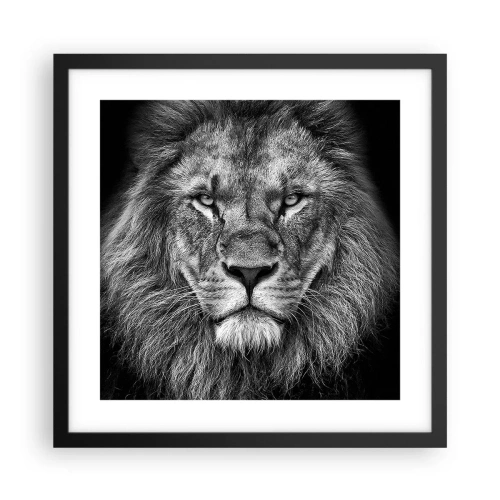 Poszter fehér keretben - Őfelségi palástban - 40x40 cm