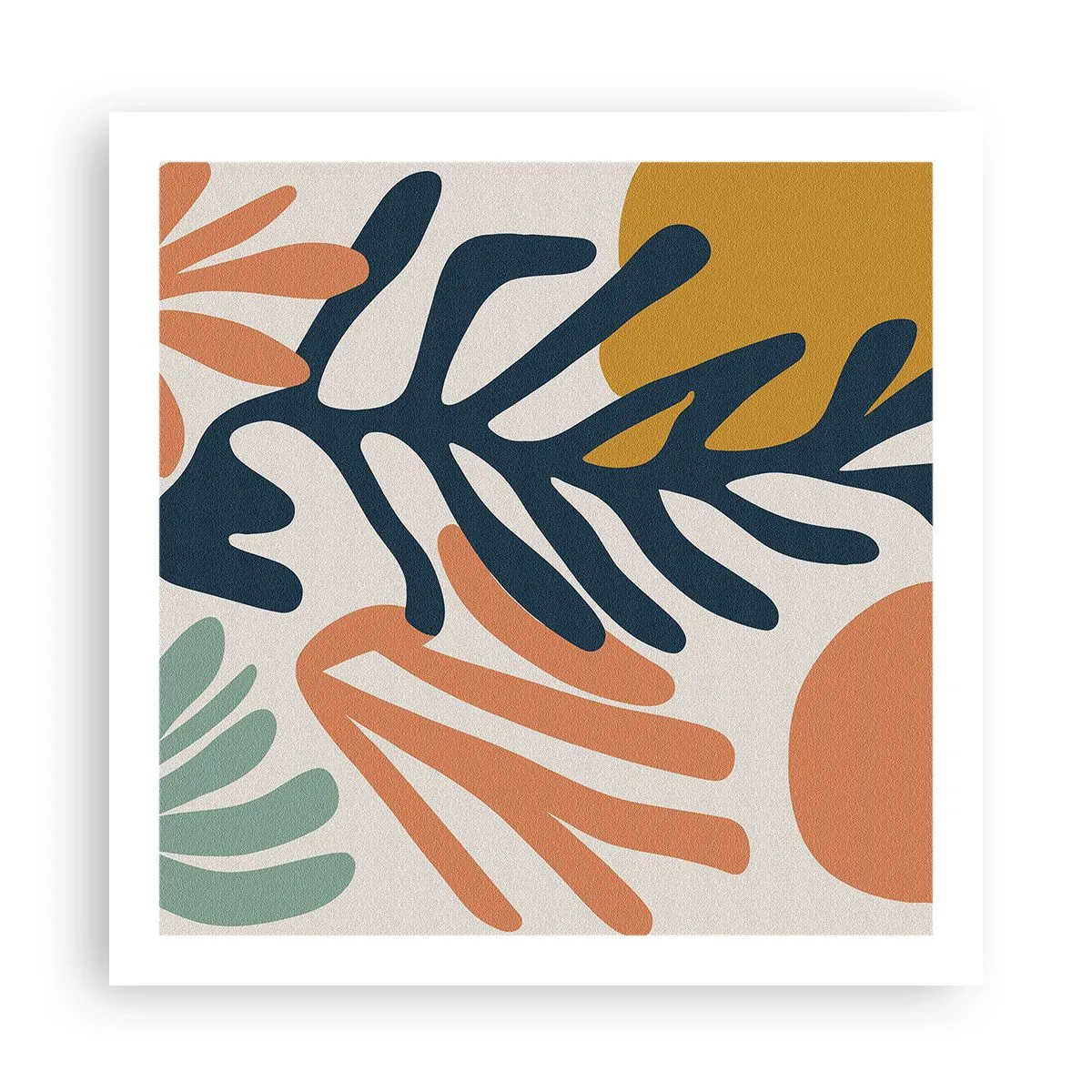 Poszter - Koralltengerek - 60x60 cm