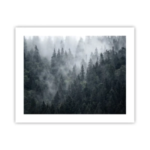 Poszter - Erdei hajnal - 50x40 cm