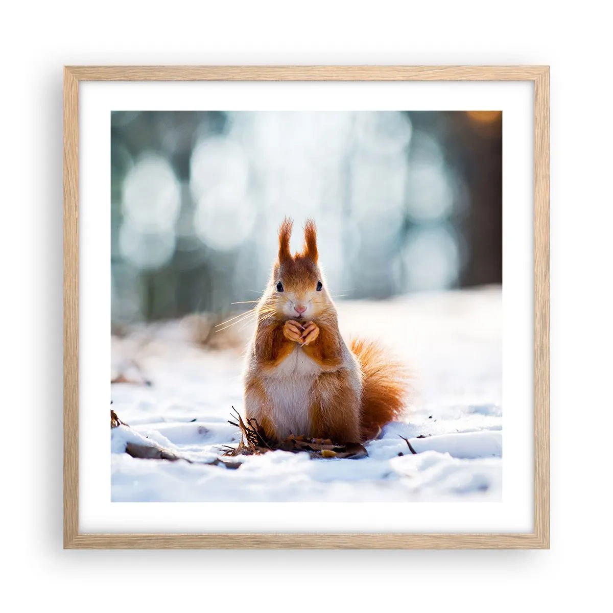 Poszter világos tölgy keretben - Mit nézel? - 50x50 cm