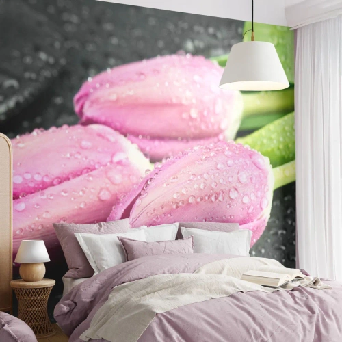 Fotótapéta Premium Sand - Lila hármas a fekete kövön - Virágok, Tulipánok, Csokor virág - 350x256 cm