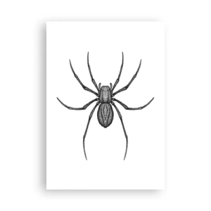 Poszter - Zavaró precizitás - 70x100 cm