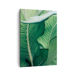 Vászonkép - Intenzíven zöld élet - 50x70 cm