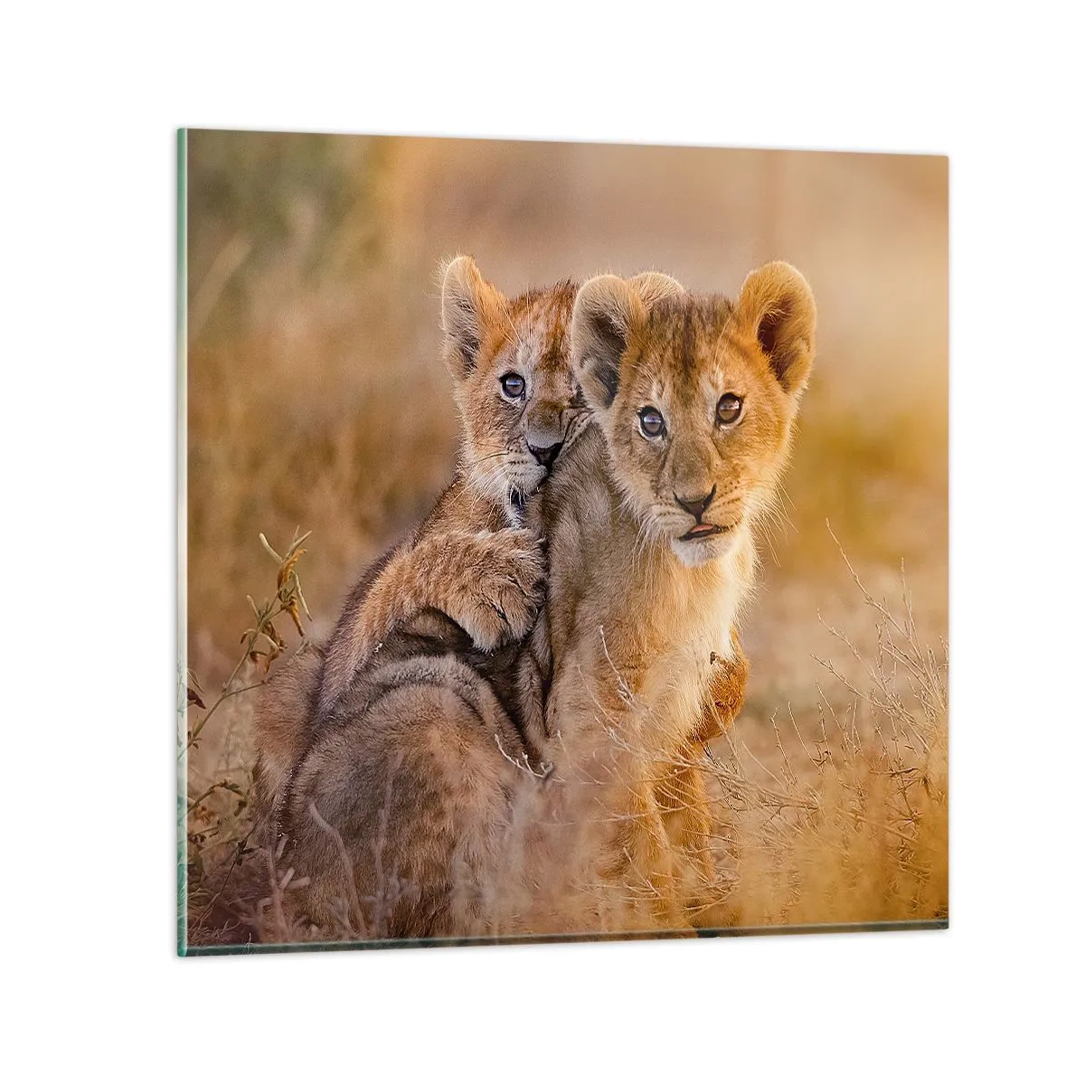 Üveg kép - Ne zavarni! Szórakozunk - 30x30 cm