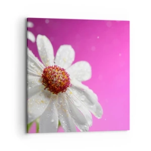 Vászonkép - A Szépségében szerény - 70x70 cm