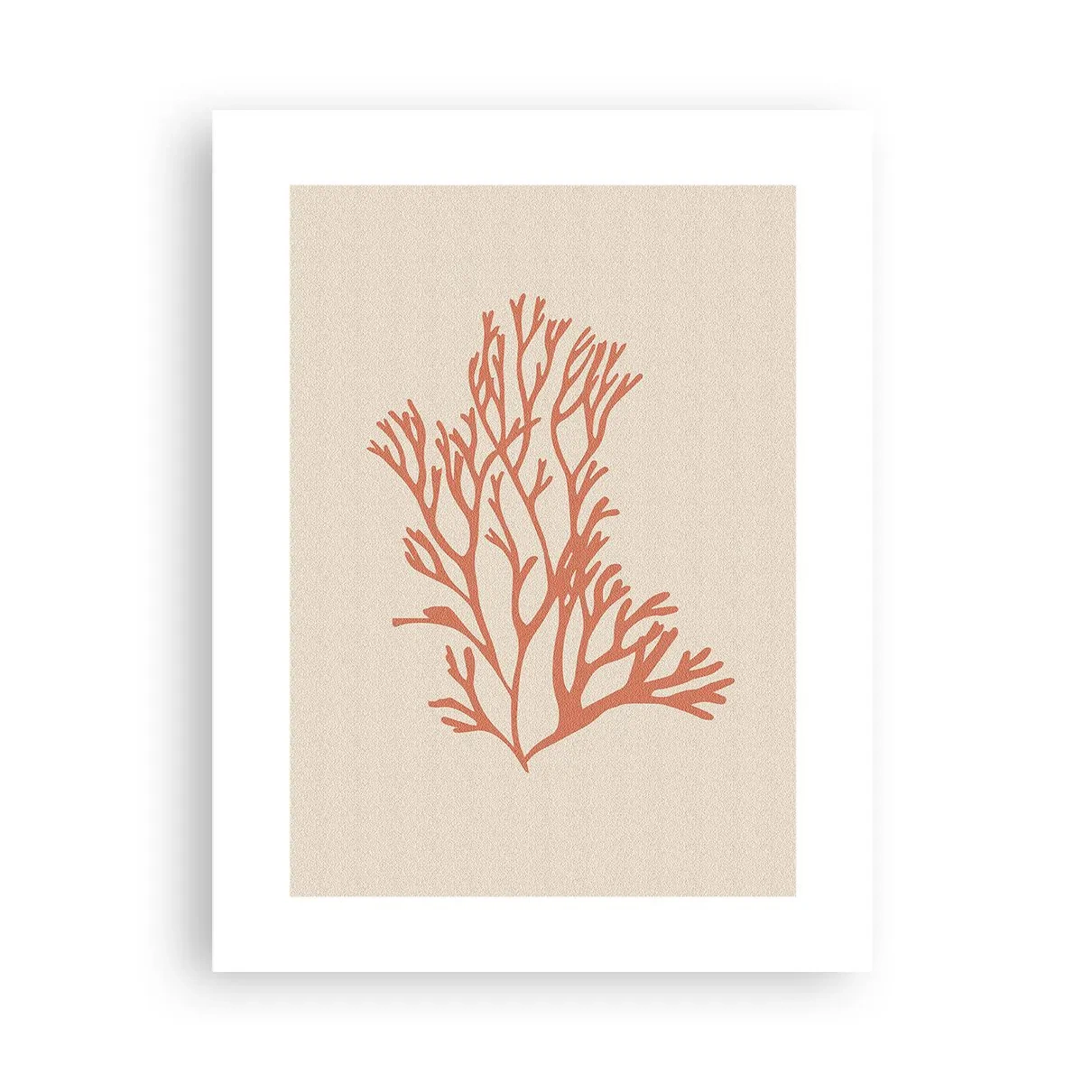Poszter - Korall filigrán - 30x40 cm
