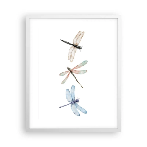 Poszter fekete keretben - Súlytalan szitakötők - 40x50 cm