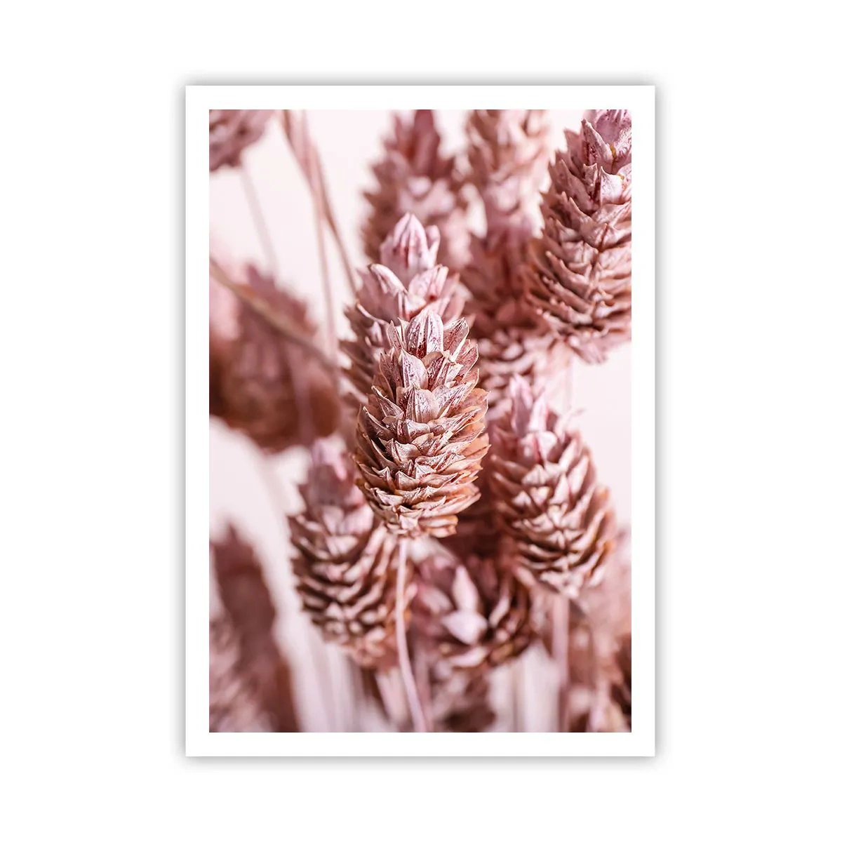 Poszter - Látszólag feltűnő - 70x100 cm