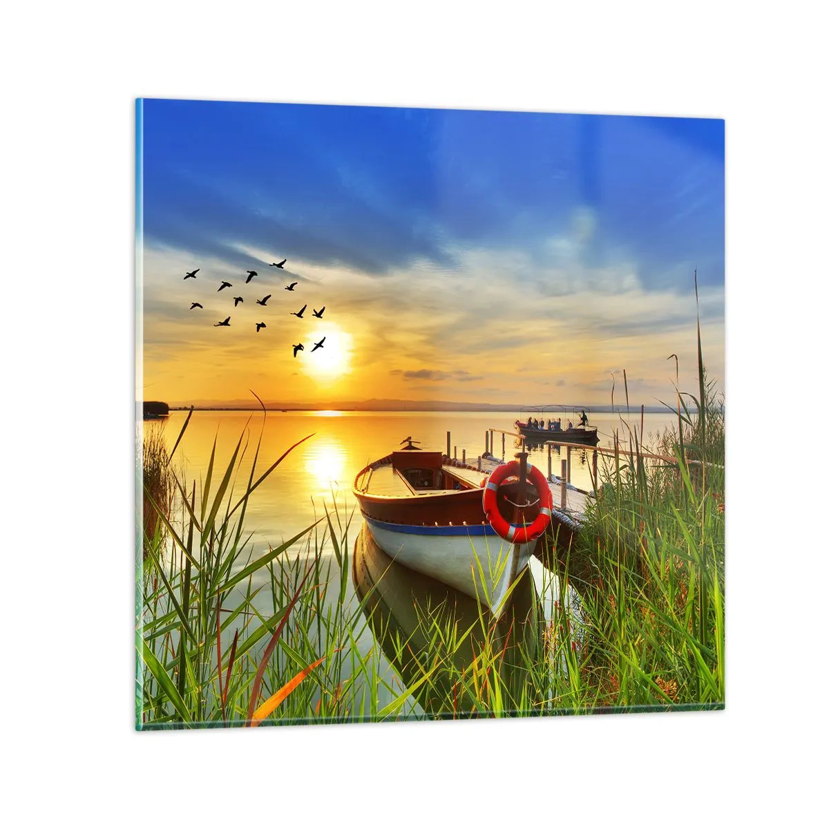 Üveg kép - A kormoránok már repülnek el - 30x30 cm
