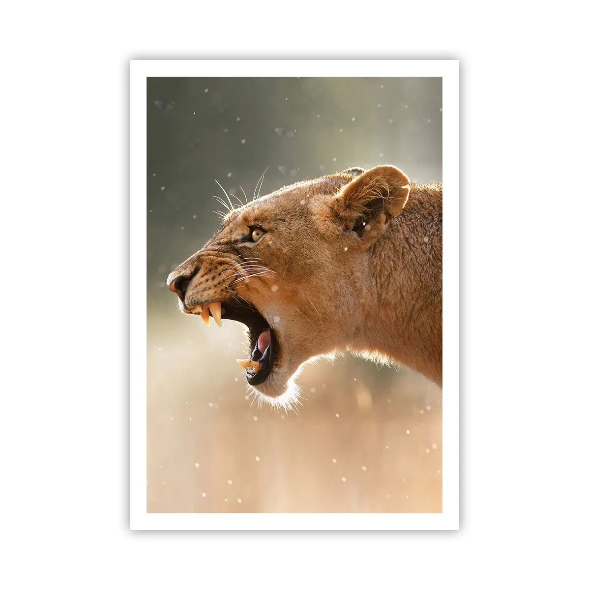 Poszter - Próbálj meg nem hallgatni - 70x100 cm