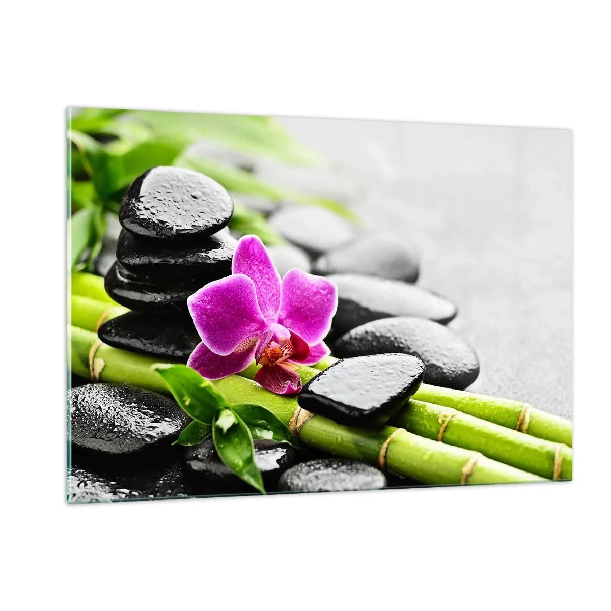 Üveg kép - Nyugodt egyensúlyban - 120x80 cm