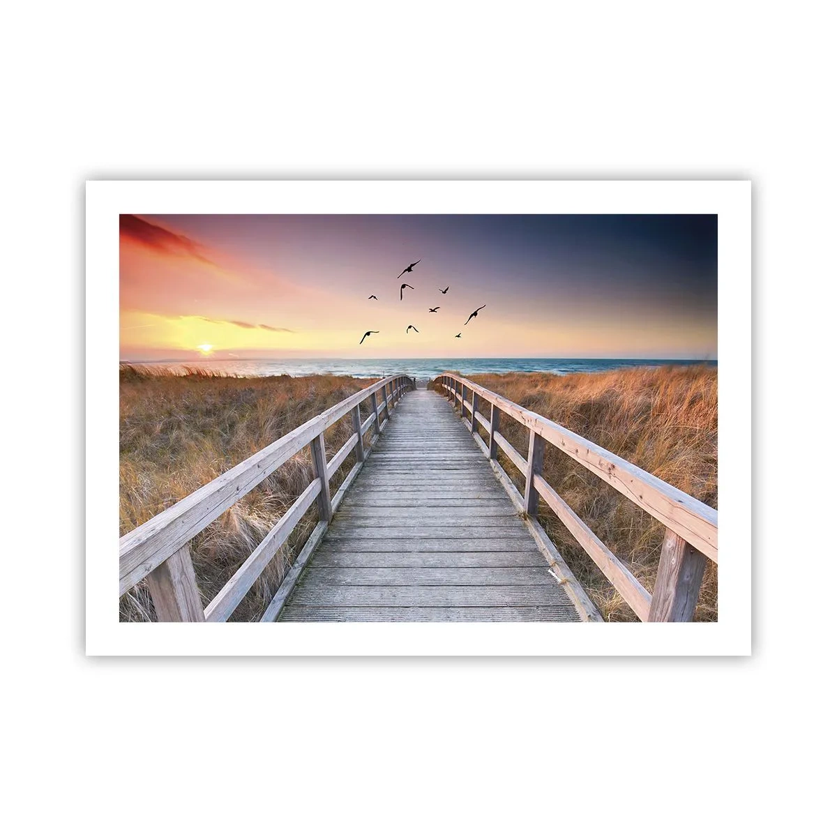 Poszter - Repülési tér - 70x50 cm