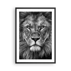 Poszter fehér keretben - Fekete-fehér portré egy fenséges oroszlánról - 50x70cm - Őfelségi palástban - Modern fali dekoráció nappalihoz és hálószobához ARTTOR