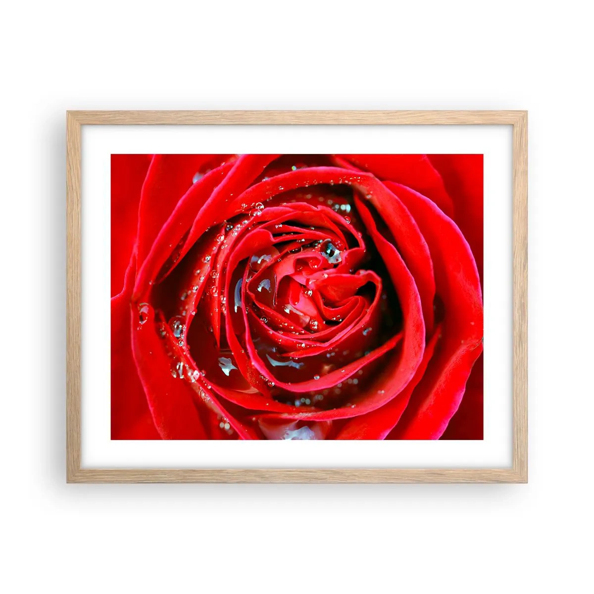 Poszter világos tölgy keretben - A harmatcseppekben - 50x40 cm