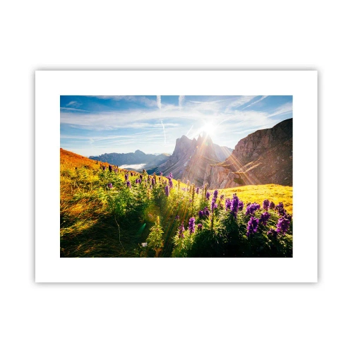 Poszter - A gyógynövények titkos élete - 40x30 cm