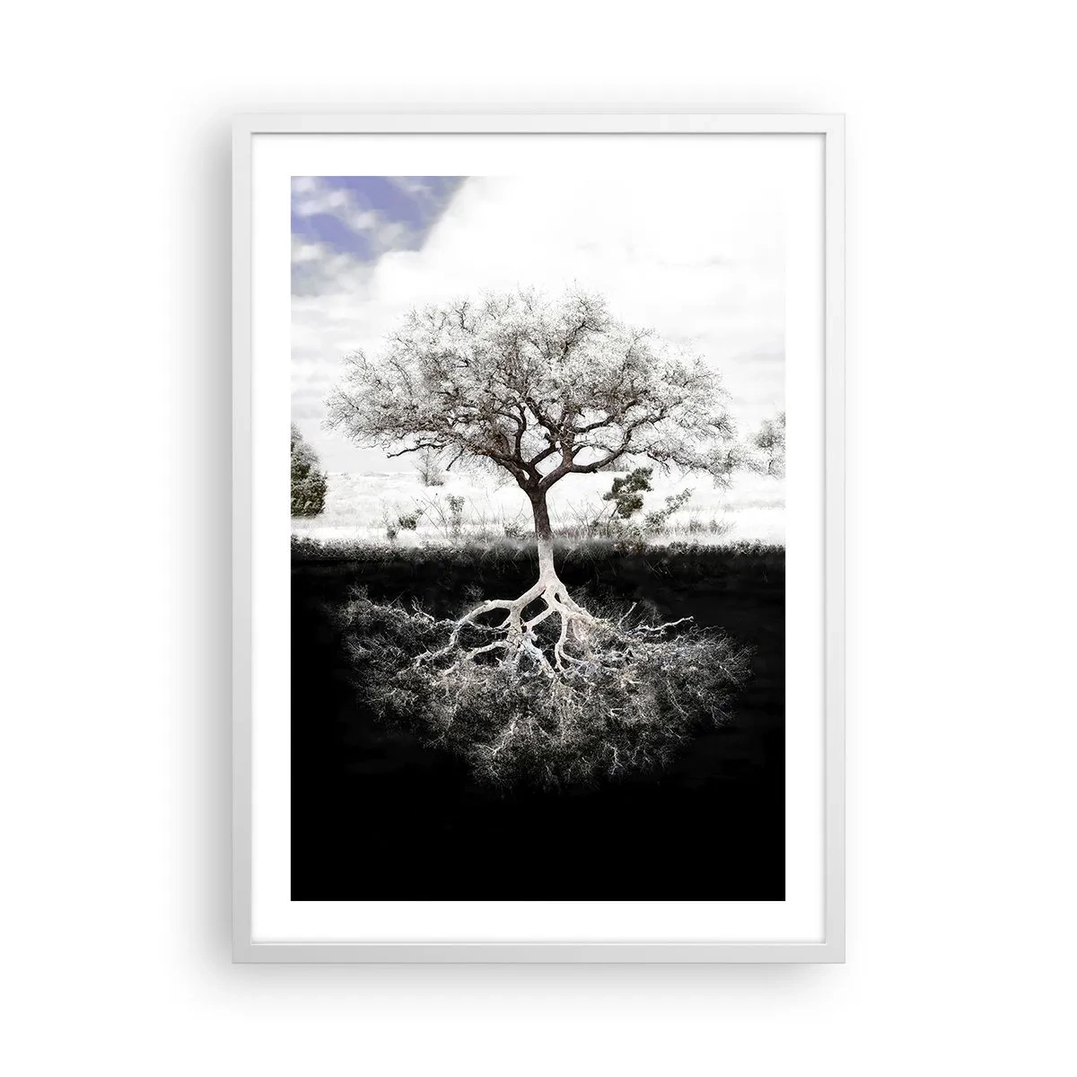 Poszter fekete keretben - A világ természetének felfedezése - 50x70 cm