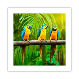 Poszter - És hallottad, hogy ő…? - 40x40 cm