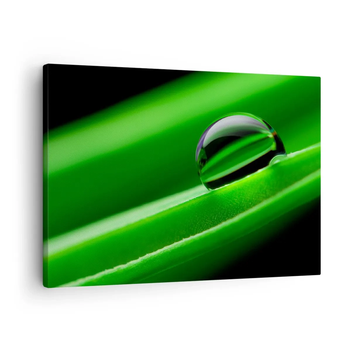 Vászonkép - Harmatcsepp közeli képe egy zöld levélen - 70x50cm - Élet közelről - Modern fali dekoráció nappalihoz és hálószobához ARTTOR