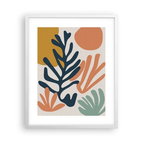 Poszter fekete keretben - Koralltengerek - 40x50 cm