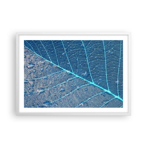 Poszter fekete keretben - Az élet kékben - 70x50 cm