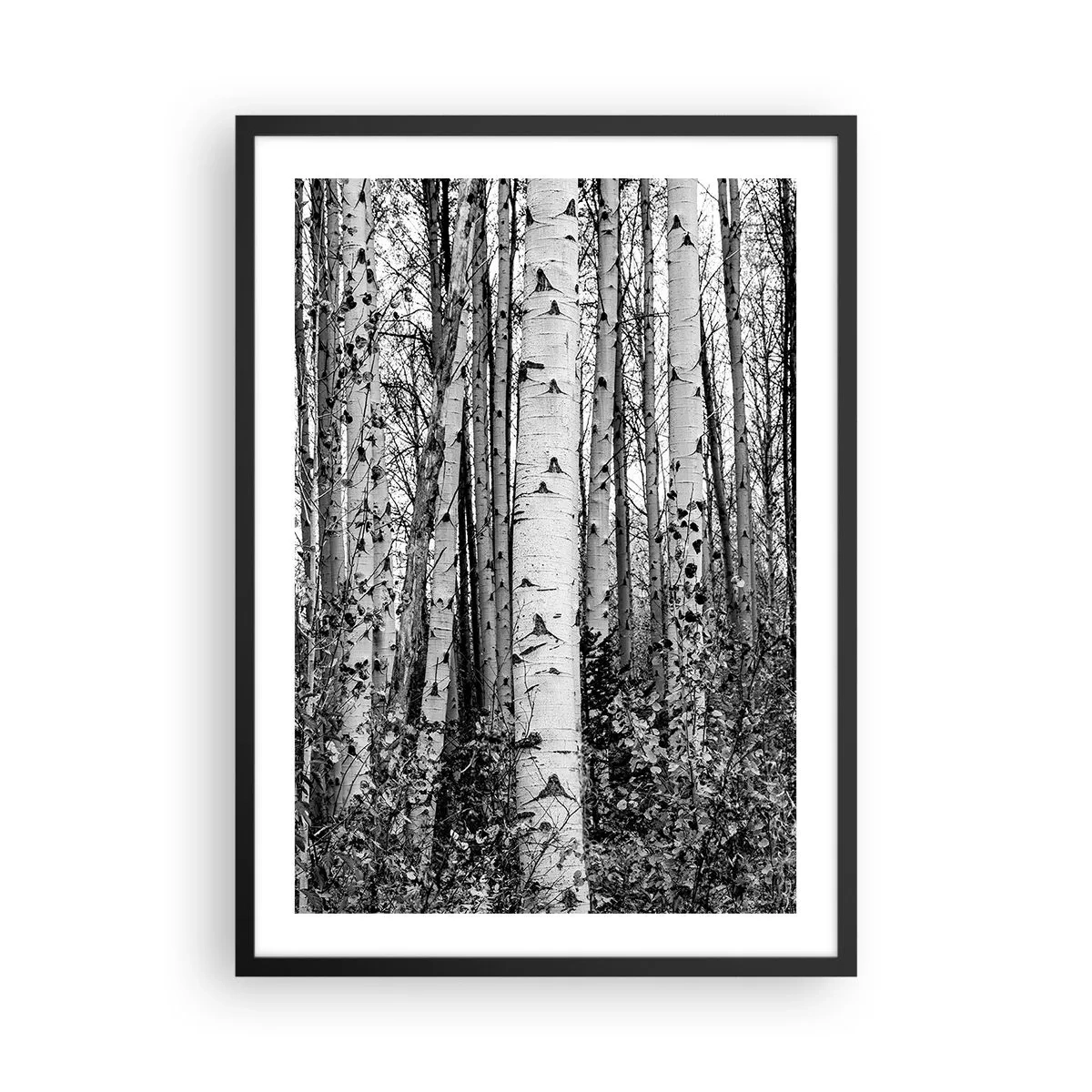 Poszter fehér keretben - Fekete és fehér nyírfák alkotnak szimmetrikus erdőt - 50x70cm - Nyírfa oszlopsor - Modern fali dekoráció nappalihoz és hálószobához ARTTOR