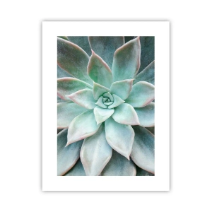 Poszter - A sivatag szíve - 30x40 cm