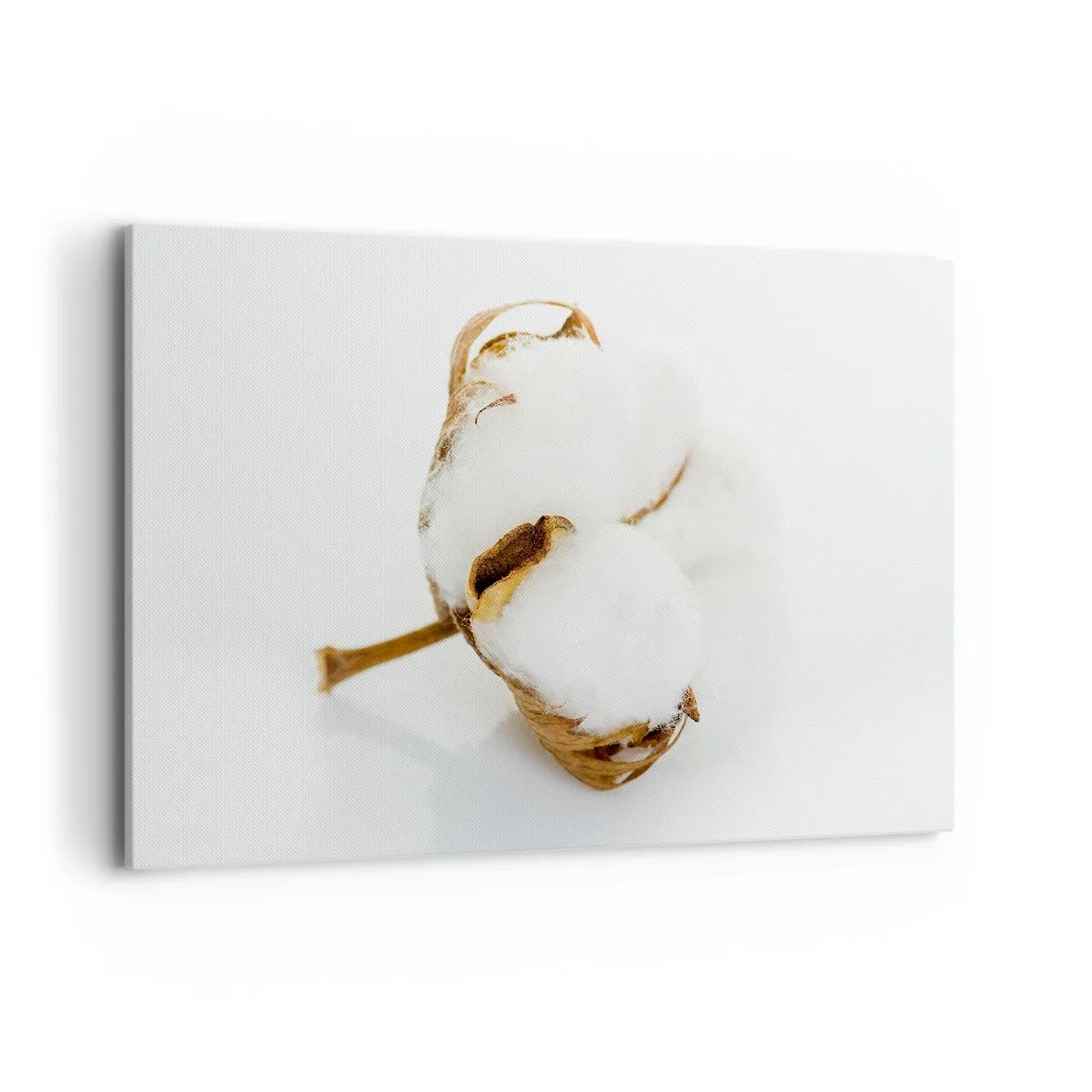 Vászonkép - Lágy természetű - 100x70 cm