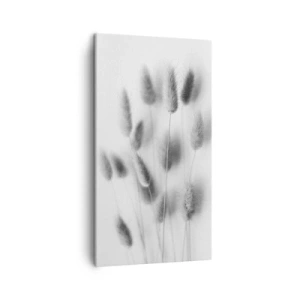 Vászonkép - A bolyhos fű - 45x80 cm