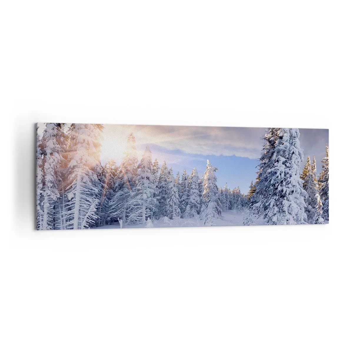 Vászonkép - A természet havas látványa - 160x50 cm