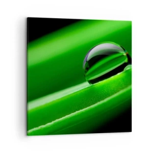 Vászonkép - Élet közelről - 50x50 cm