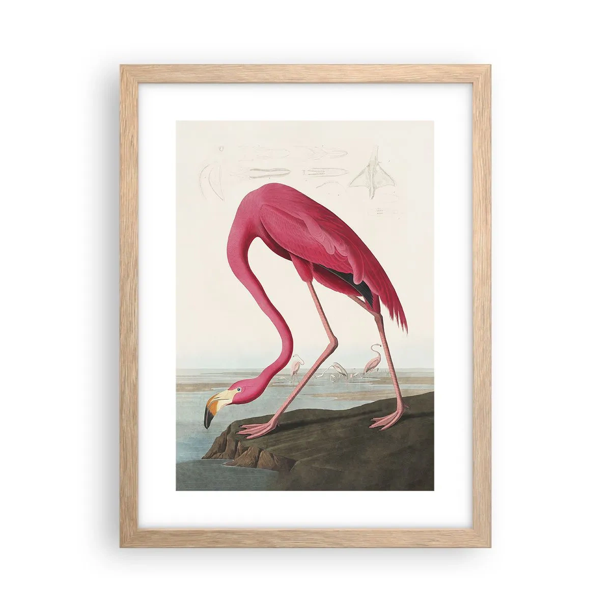 Poszter világos tölgy keretben - Csodálatos teremtmény - 30x40 cm