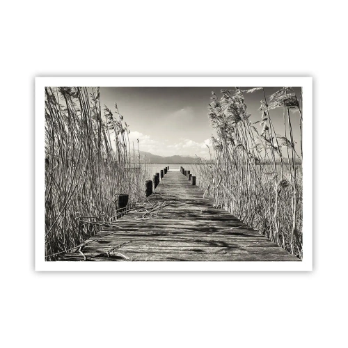 Poszter - A fű csendjében - 100x70 cm