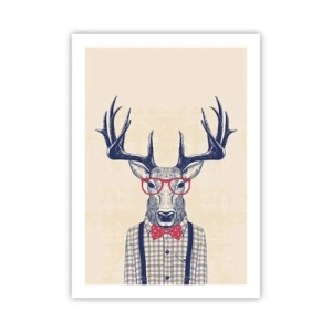 Poszter - Mókás extravagancia - 50x70 cm