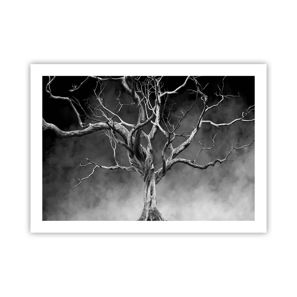 Poszter - Ősi és szent - 70x50 cm