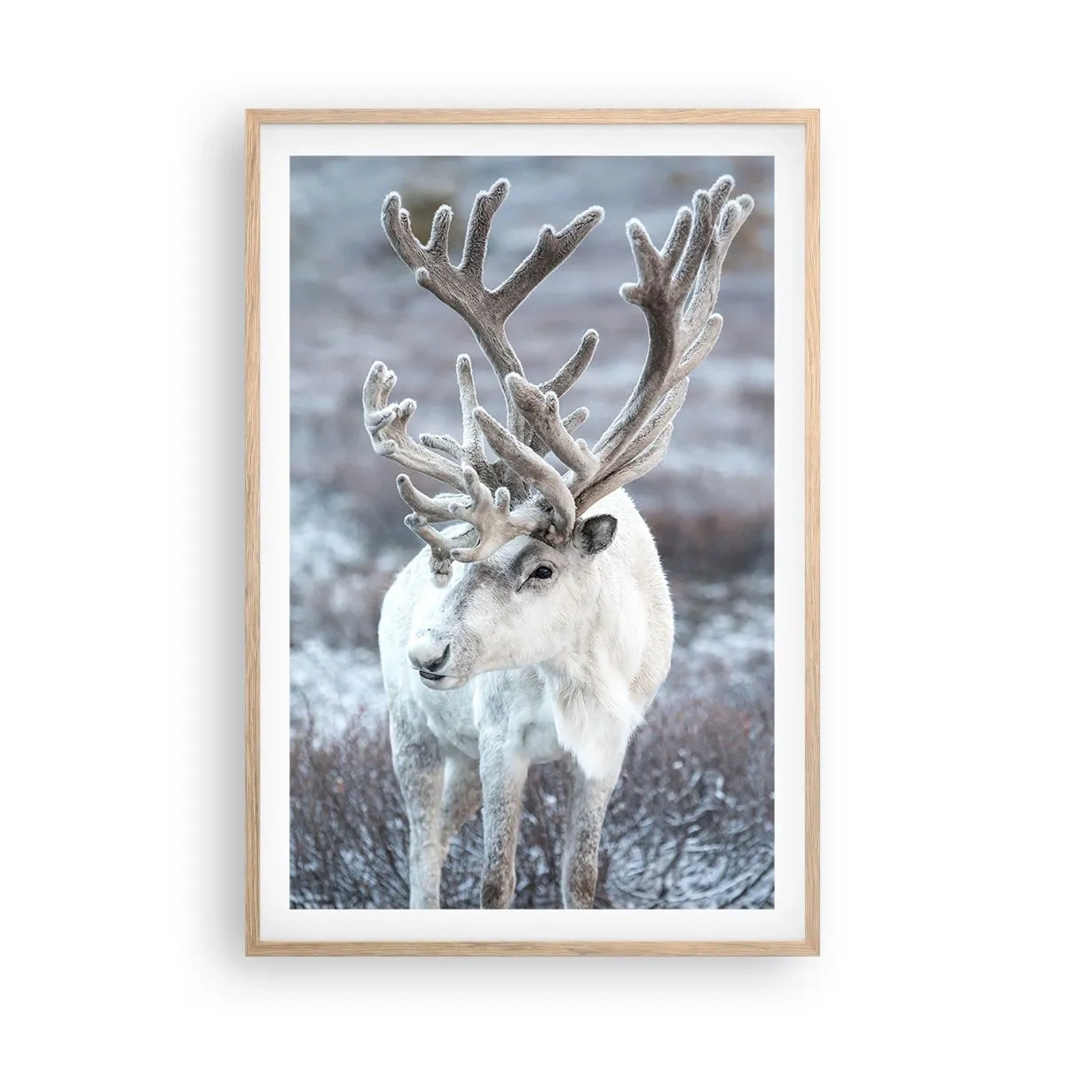 Poszter világos tölgy keretben - Portré a napon - 61x91 cm