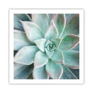 Poszter - A sivatag szíve - 60x60 cm