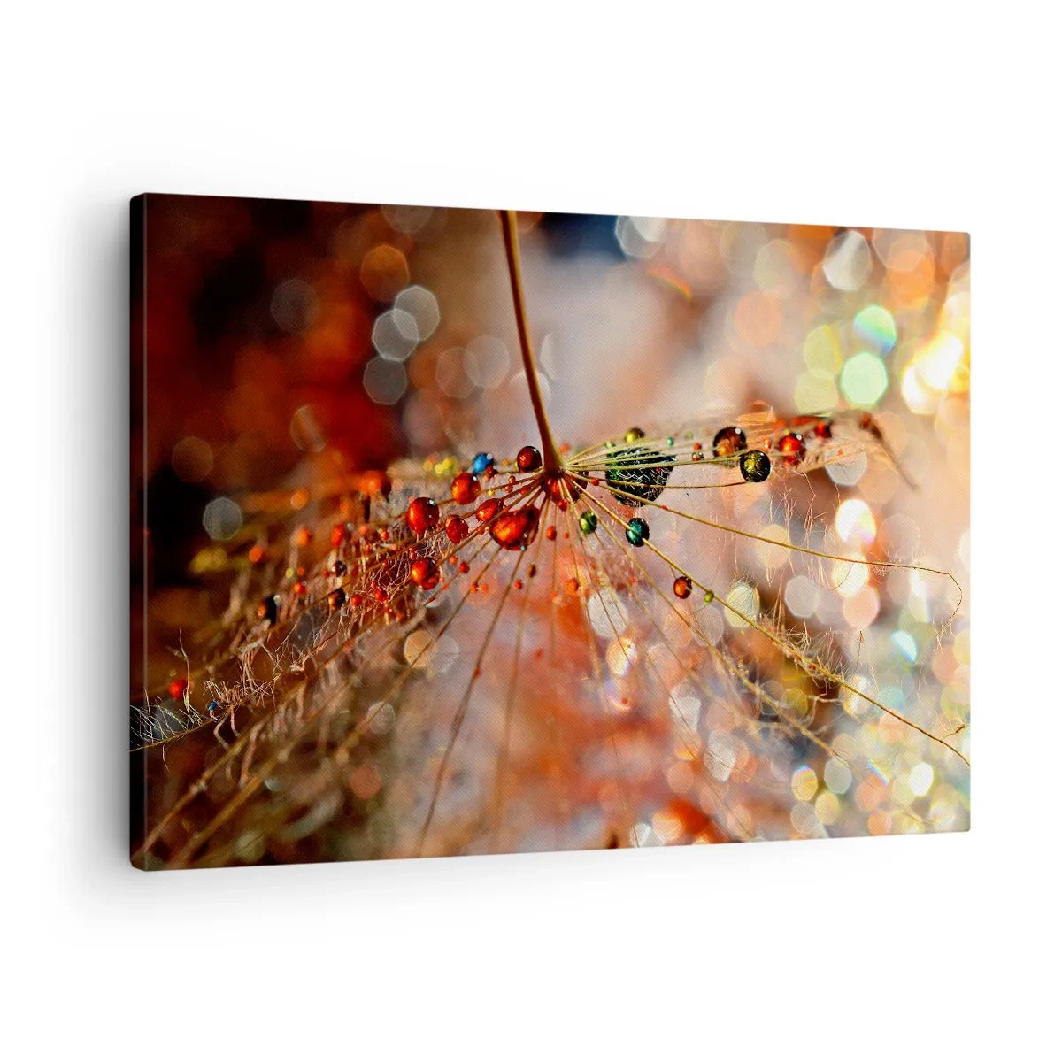 Vászonkép - Makrófotózás egy csepp vízről egy kényes növényen - 70x50cm - Pókszálra fűzve - Modern fali dekoráció nappalihoz és hálószobához ARTTOR