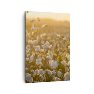 Vászonkép - Puha mező - 70x100 cm
