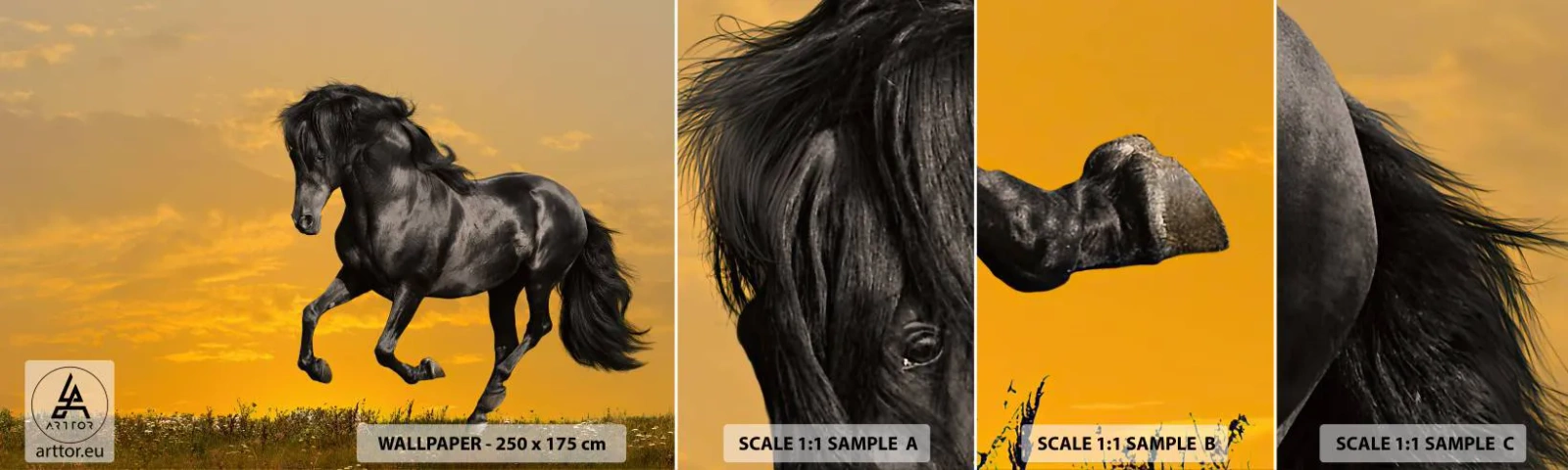 Fotótapéta Minta Standard Eco - Gyönyörű, szabad és vad - Állatok, Ló, Tájkép - 100x30 cm