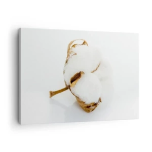 Vászonkép - Egy pamutág világos háttér előtt minimalista megközelítésben - 70x50cm - Lágy természetű - Modern fali dekoráció nappalihoz és hálószobához ARTTOR