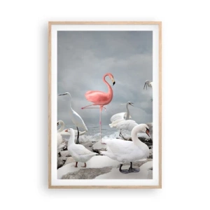 Poszter világos tölgy keretben - Hogy kerültem ide? - 61x91 cm