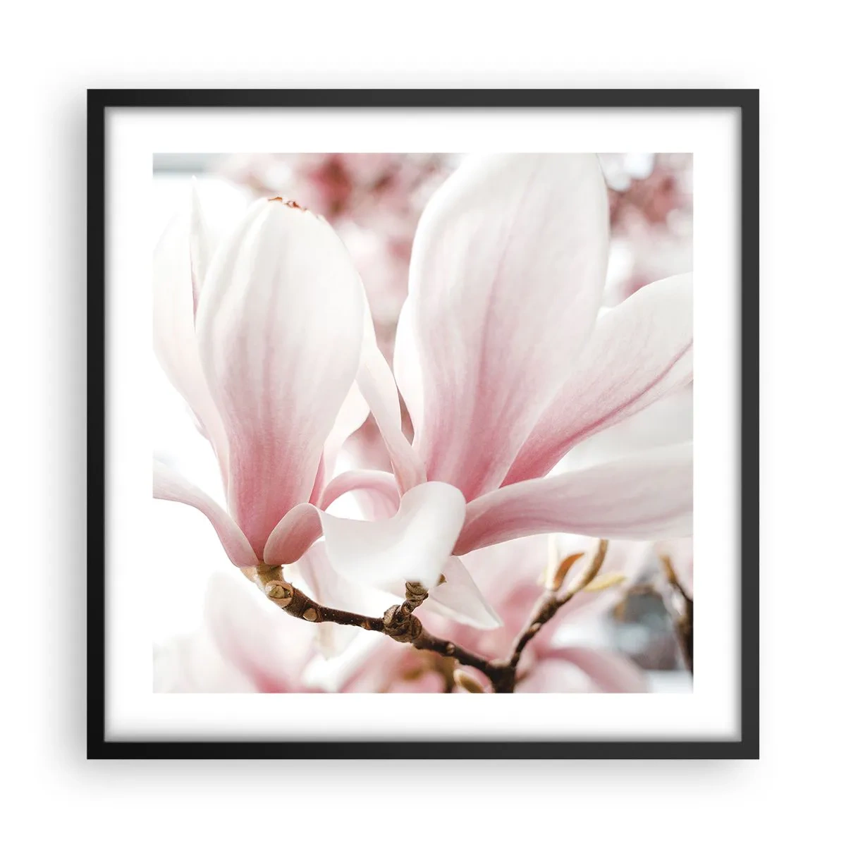 Poszter fehér keretben - Határtalan gyengédség - 50x50 cm