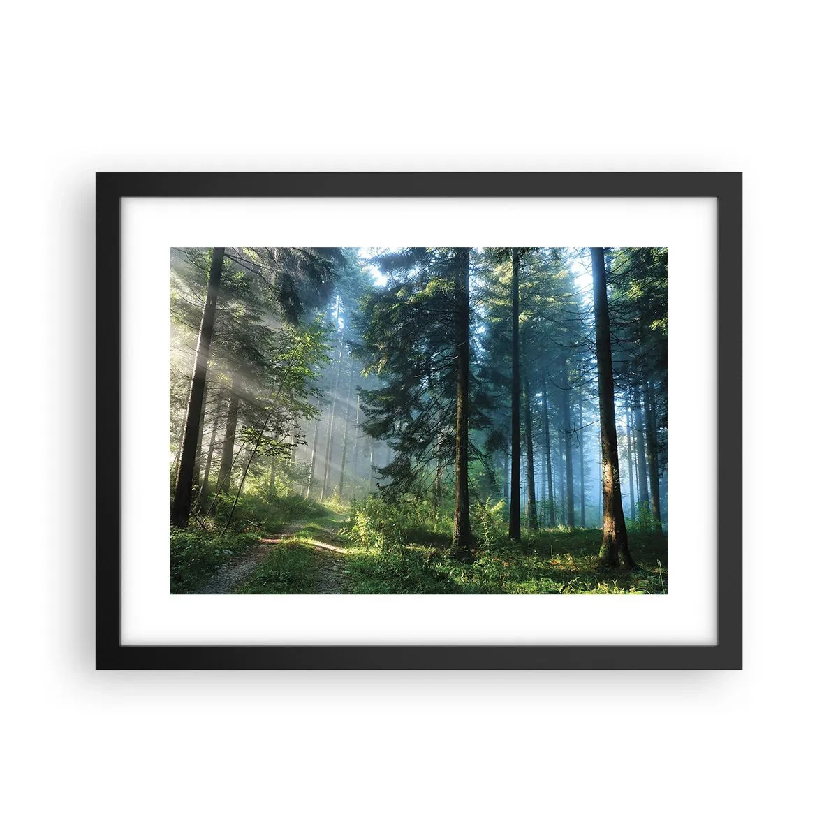 Poszter fehér keretben - Sugárzó reggel - 40x30 cm