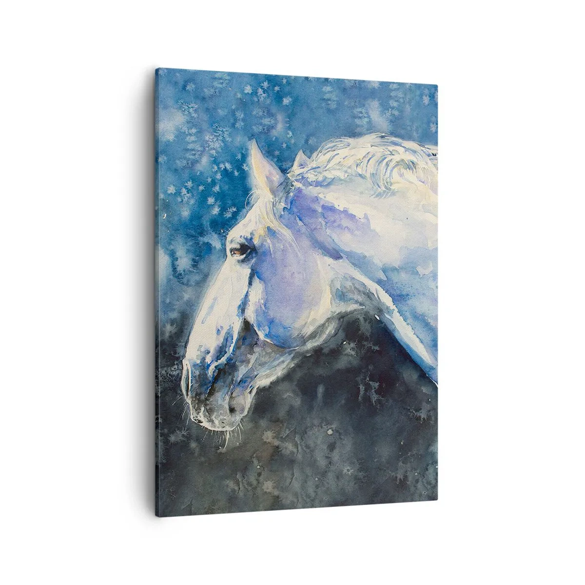 Vászonkép - Portré kék fényben - 50x70 cm