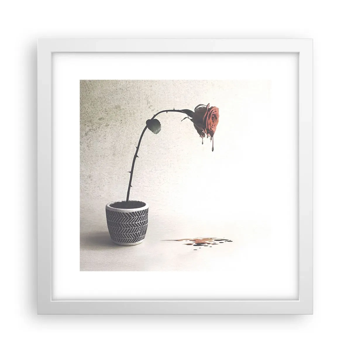 Poszter fekete keretben - Rosa dolorosa - 30x30 cm