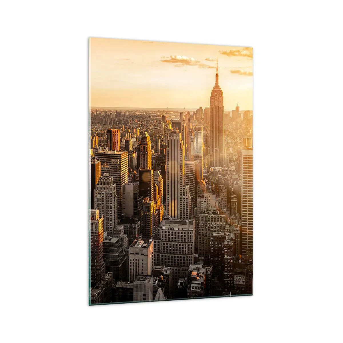Üveg kép - Növekedni a napon - 70x100 cm